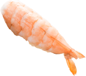 Aburi Sushi